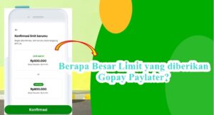 Cara Mencairkan Gopay Paylater Via Akulaku 5 Menit Langsung Cair