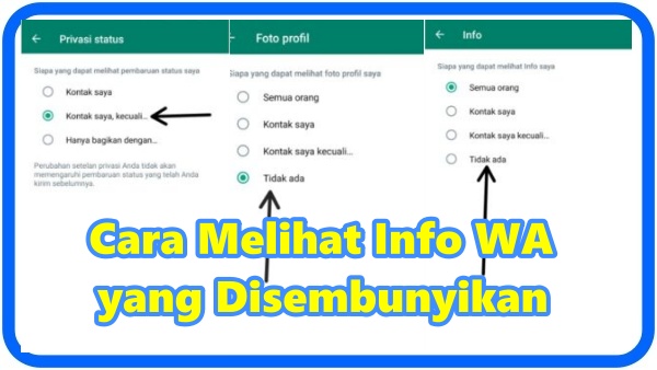 Cara Melihat Info WA yang Disembunyikan