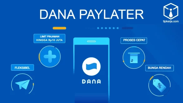 Dana PayLater