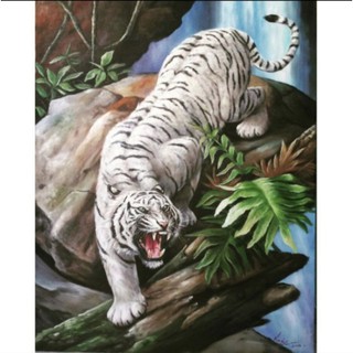 Gambar Macan Putih Marah