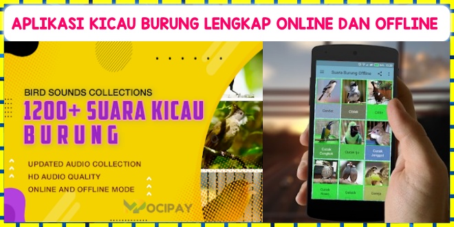 Aplikasi Kicau Burung Lengkap Online dan Offline