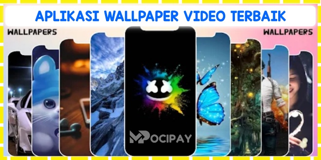 Aplikasi Wallpaper Video Terbaik
