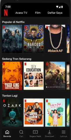 aplikasi netfix