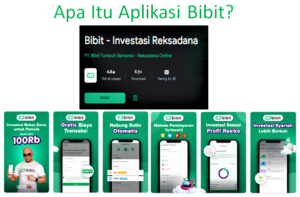 10 Cara Menggunakan Aplikasi Bibit Untuk Pemula Berinvestasi