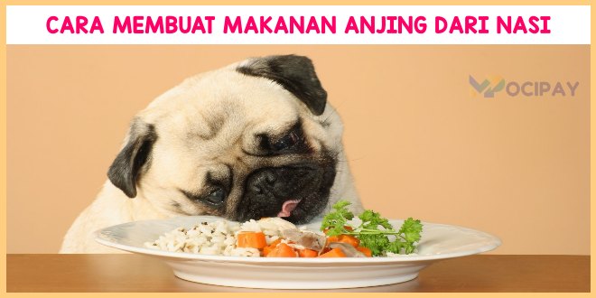 Cara Membuat Makanan Anjing Dari Nasi