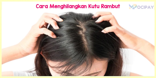 Cara Menghilangkan Kutu Rambut dengan cepat