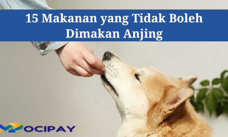 Makanan yang tidak boleh dimakan Anjing
