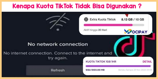 Kenapa Kuota Tiktok Tidak Bisa Digunakan Ini Solusinya Mocipay