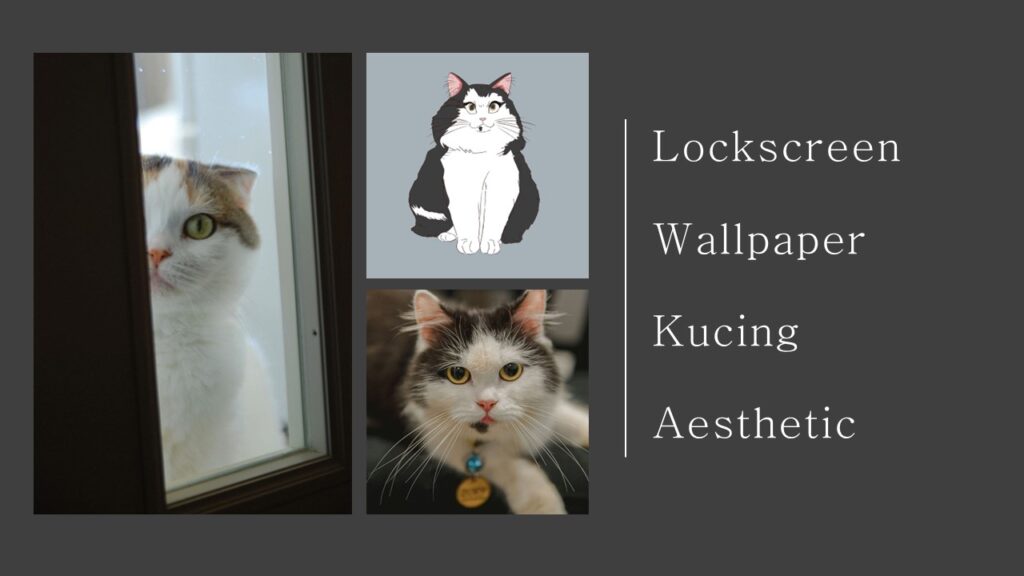 Lockscreen Wallpaper Kucing Aesthetic 