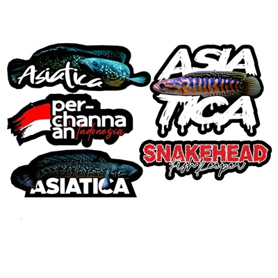 Logo Ikan Channa Asiatica 