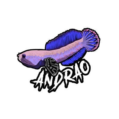 Logo Ikan Channa Keren - Channa Andrao 