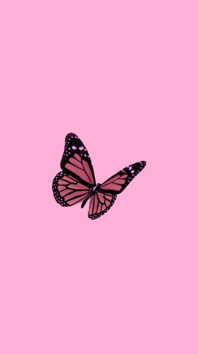 wallpaper wa pink lucu tema kupu-kupu