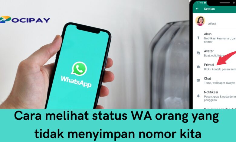 cara melihat status WA orang yang tidak menyimpan nomor kita