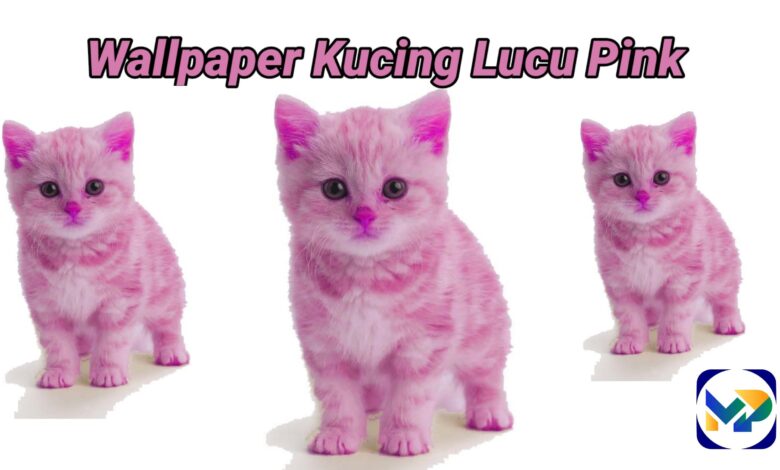 Wallpaper Kucing Lucu Pink