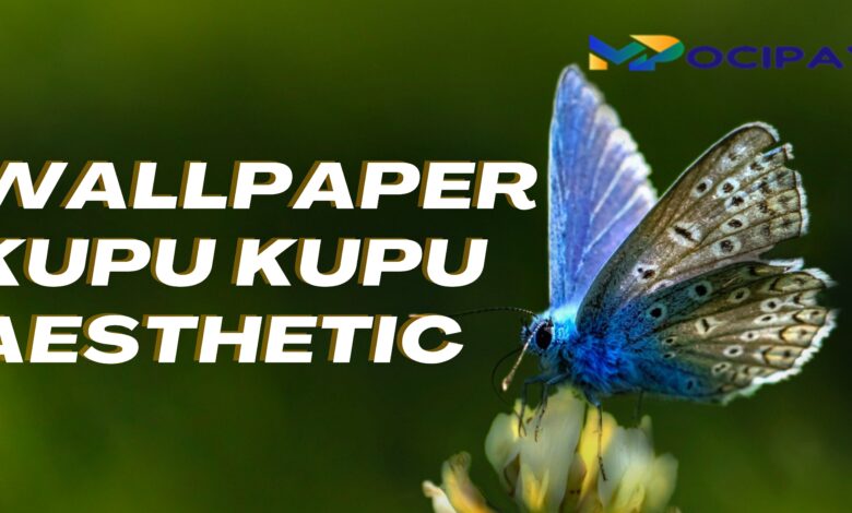 Wallpaper Kupu Kupu Aesthetic