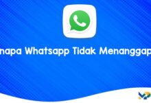 Kenapa Whatsapp Tidak Menanggapi