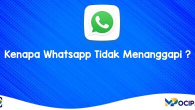 Kenapa Whatsapp Tidak Menanggapi