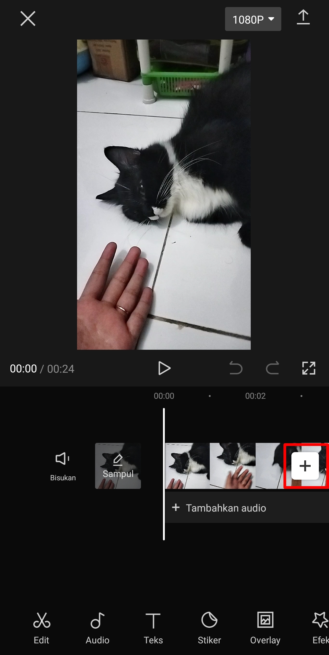 Menggabungkan Foto & Video dalam satu Frame Menggunakan CapCut
