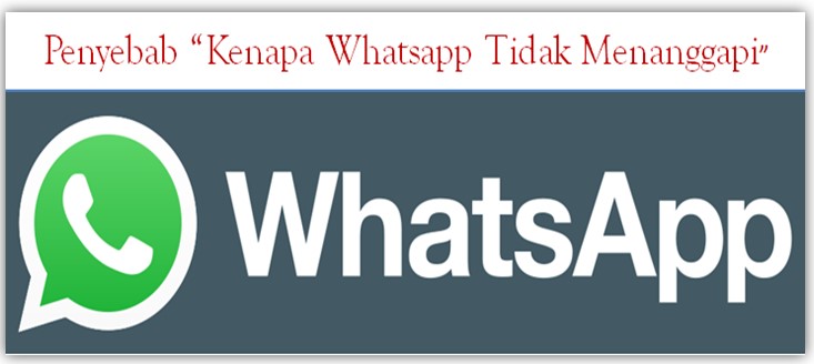 Kenapa Whatsapp tidak menanggapi