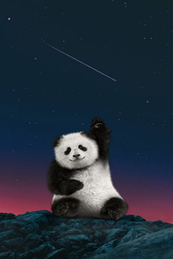 wallpaper boneka panda saat malam hari