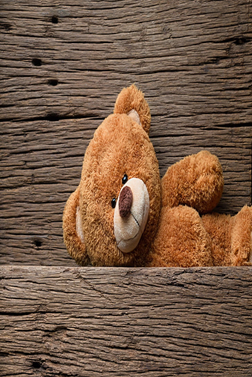 wallpaper teddy bear sedang bersantai