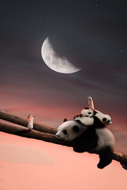 wallpaper boneka panda bersama bulan lucu