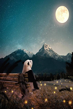 wallpaper boneka panda memandangi bulan