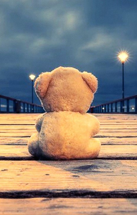 wallpaper teddy bear menikmati pemandangan