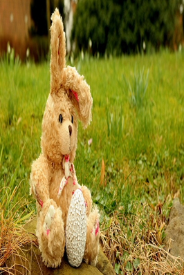 wallpaper boneka kelinci di padang rumput