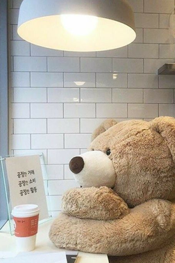wallpaper teddy bear single