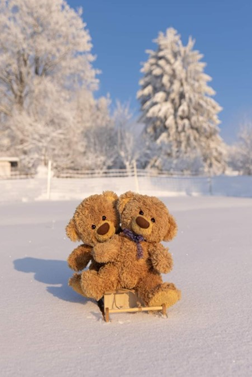 wallpaper boneka teddy bear ditengah salju