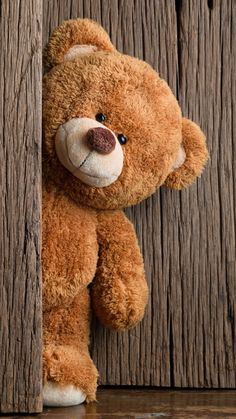 wallpaper boneka teddy bear lucu
