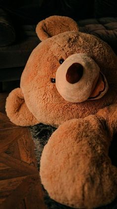 wallpaper teddy bear warna coklat