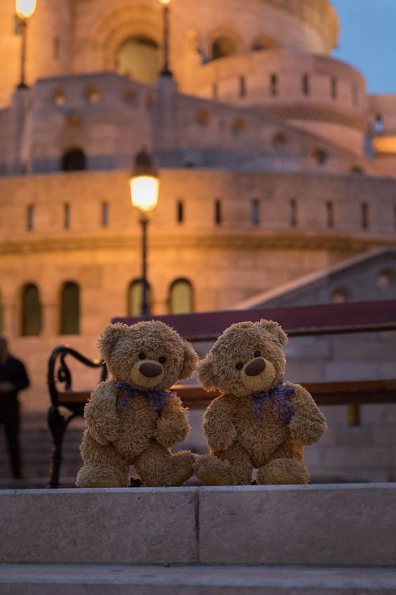 wallpaper teddy bear travelling