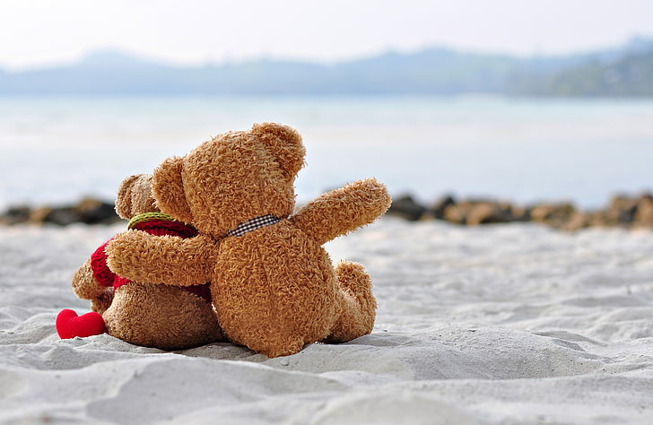 wallpaper teddy bear pasangan lucu
