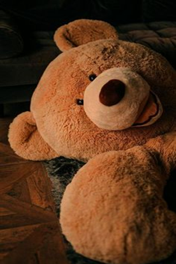 wallpaper teddy bear warna coklat