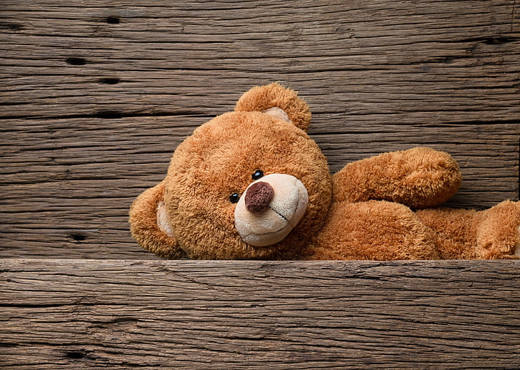 wallpaper teddy bear sedang bersantai