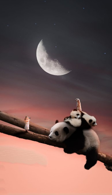 wallpaper boneka panda bersama bulan lucu