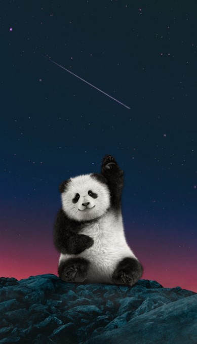 wallpaper boneka panda saat malam hari