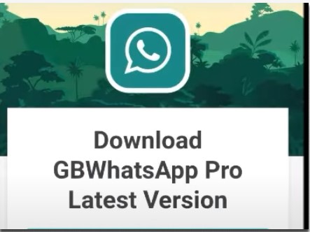 Menggunakan Whatsapp Mod Versi Lain