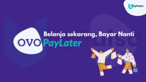 OVO PayLater