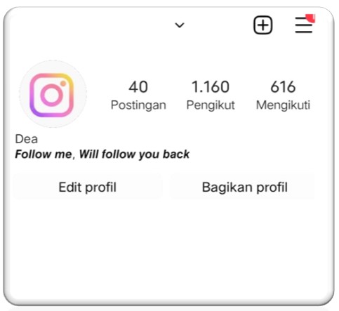 Bio Instagram