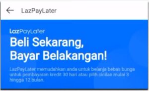 Cara Mengatasi Lazada Paylater Tidak Bisa Digunakan Karena Telat Bayar