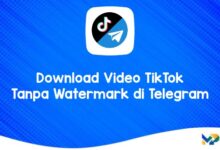 Download Video TikTok Tanpa Watermark di Telegram