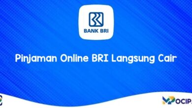 Pinjaman Online BRI Langsung Cair