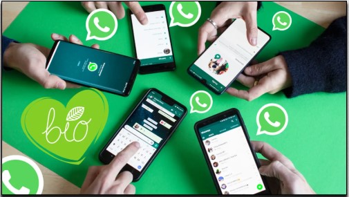 Apa Saja Fitur-Fitur Di Aplikasi WhatsApp?