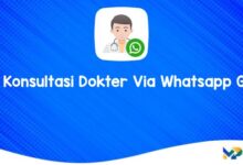 Cara Konsultasi Dokter Via Whatsapp Gratis