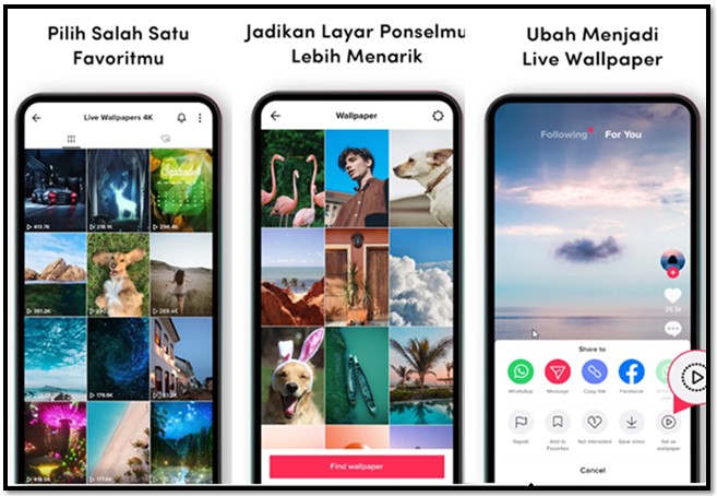 Cara membuat video tiktok sebagai wallpaper