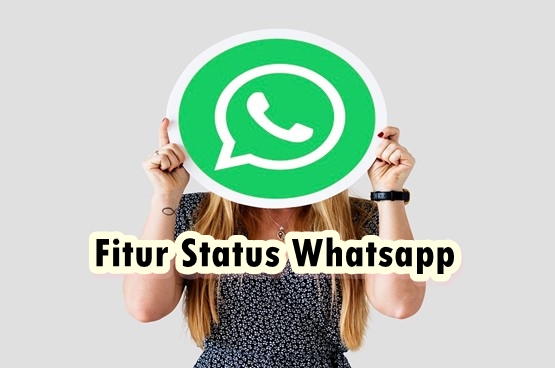 tentang fitur status whatsapp