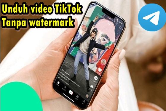 cara unduh video TikTok tanpa watermark di Telegram